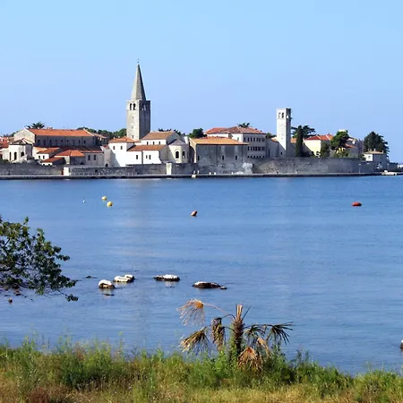 Appartement With Wifi - 16880